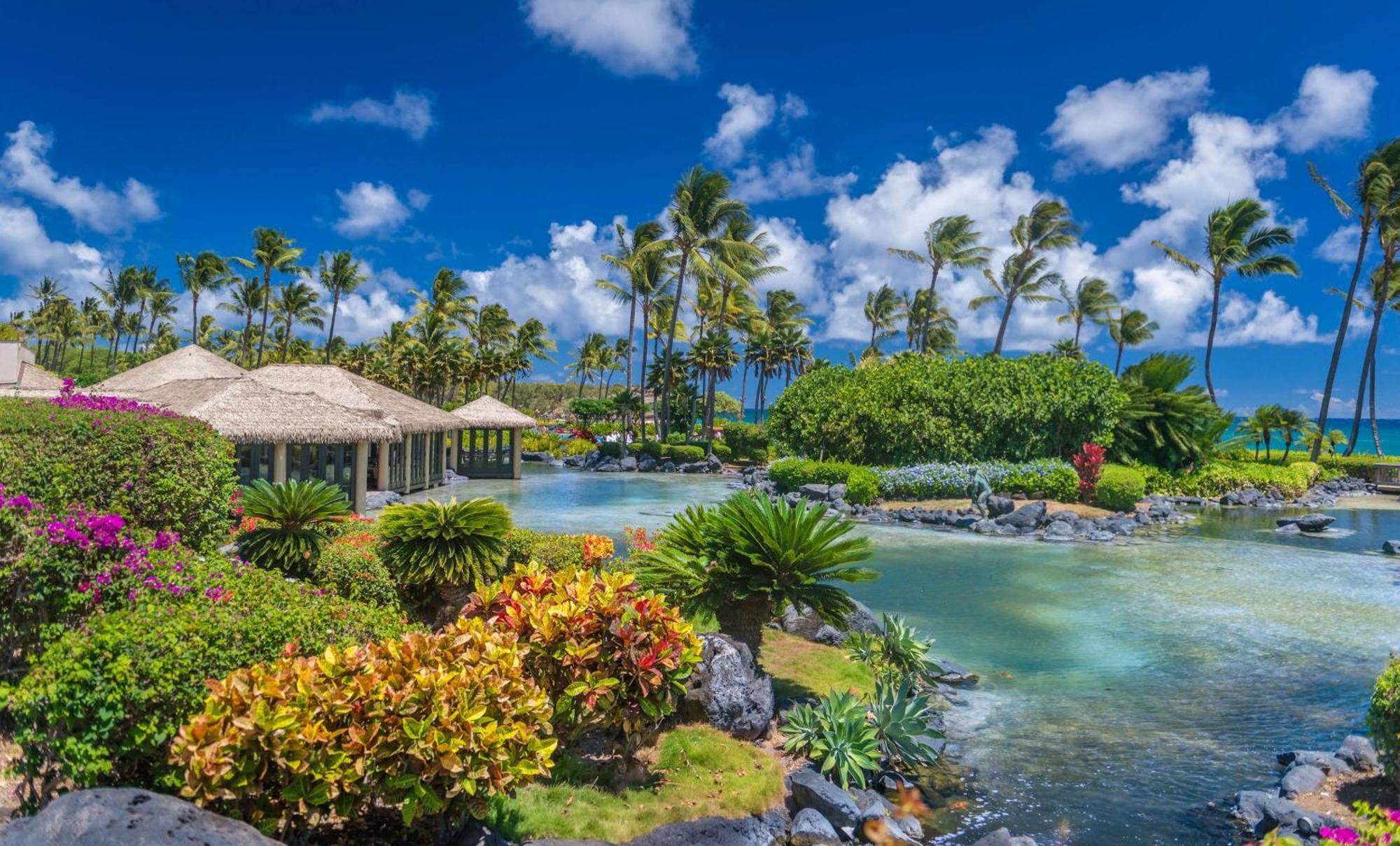 Resort Grand Hyatt Kauai &